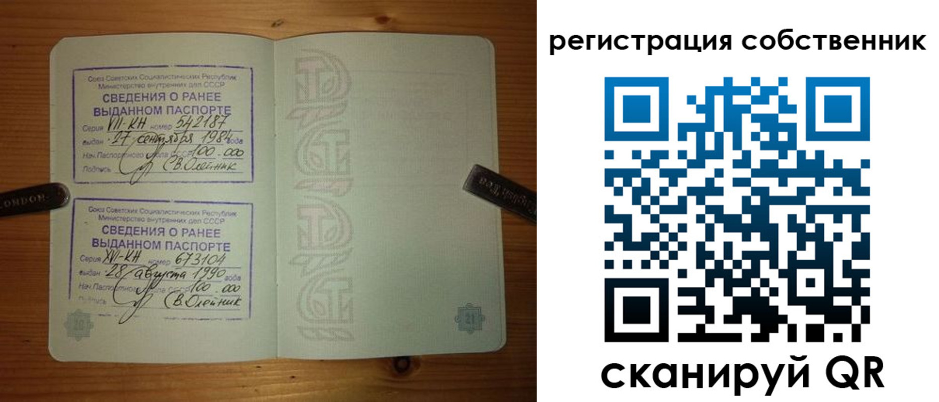 временная регистрация гарантия в Курской области